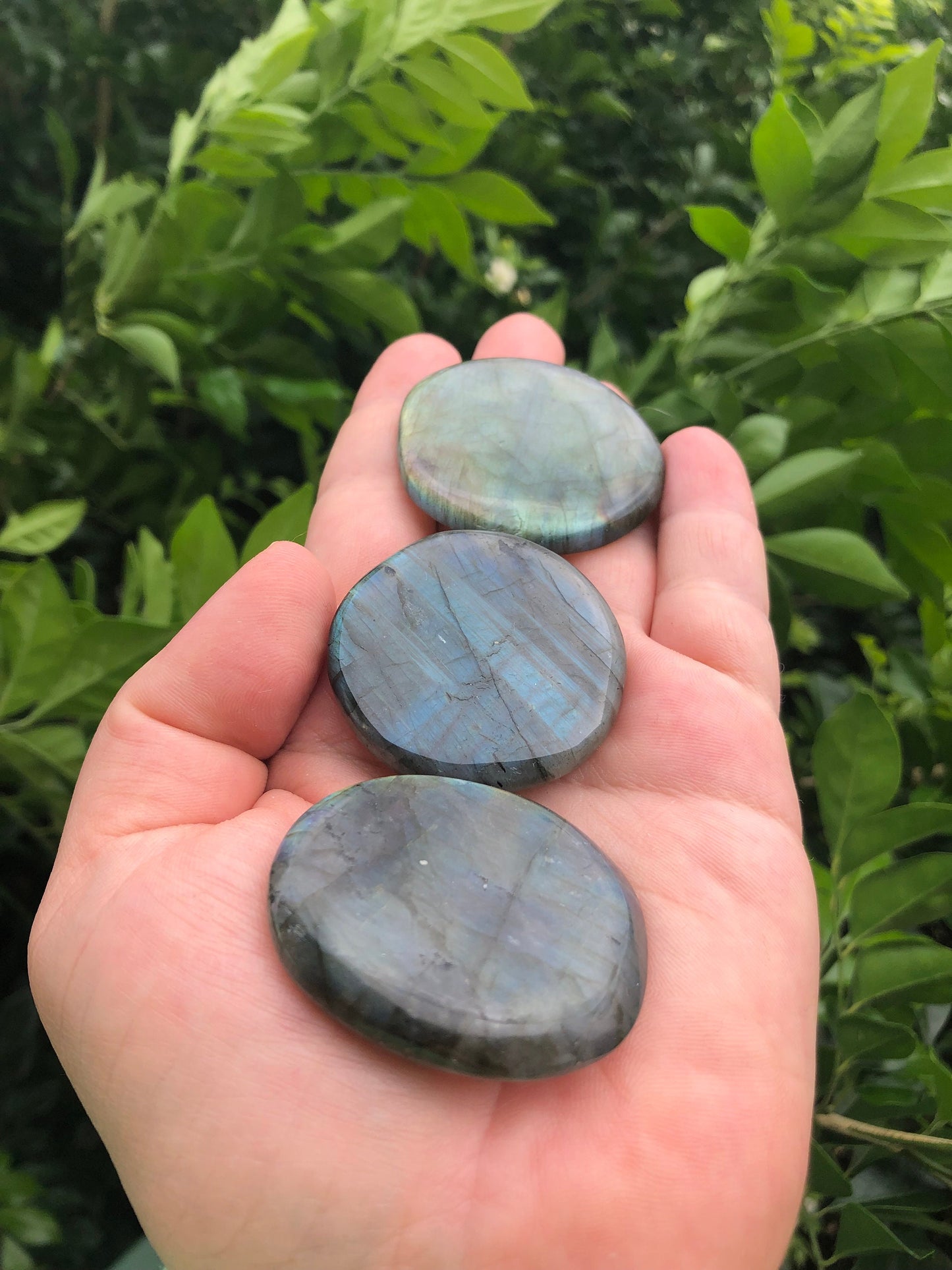 High Quality Labradorite Coins