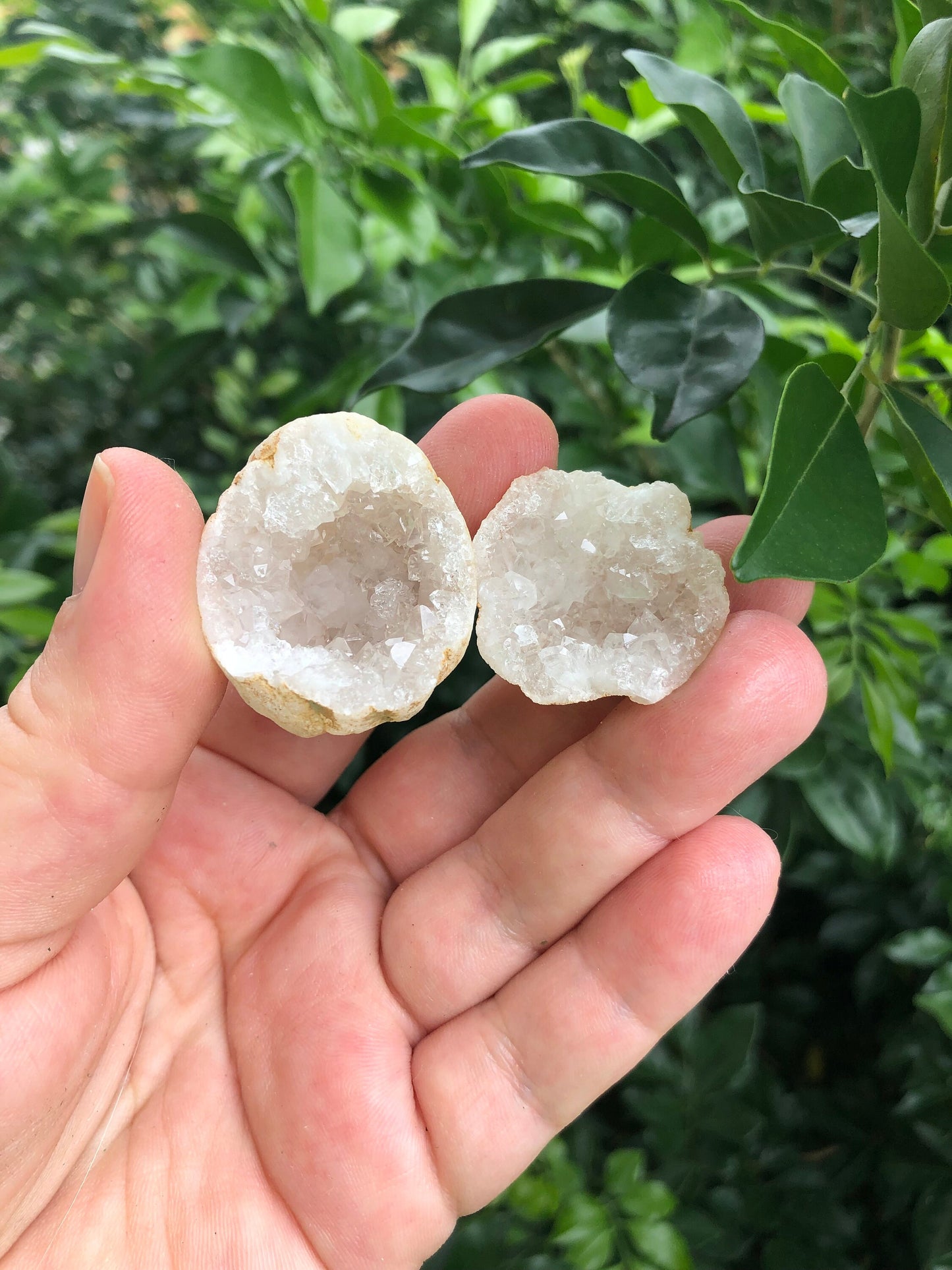 High Quality Small Quartz Geode