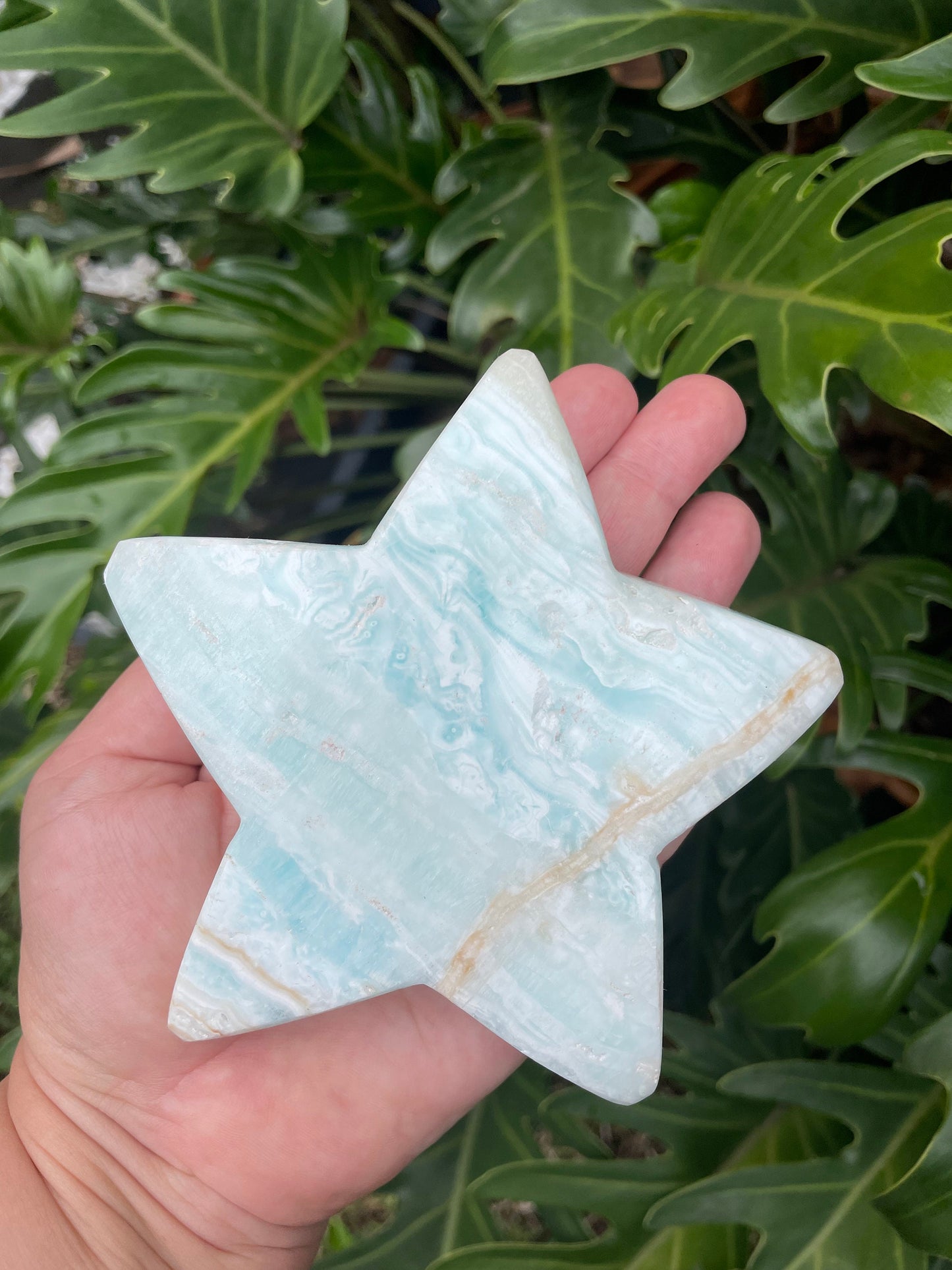 Caribbean Calcite Star