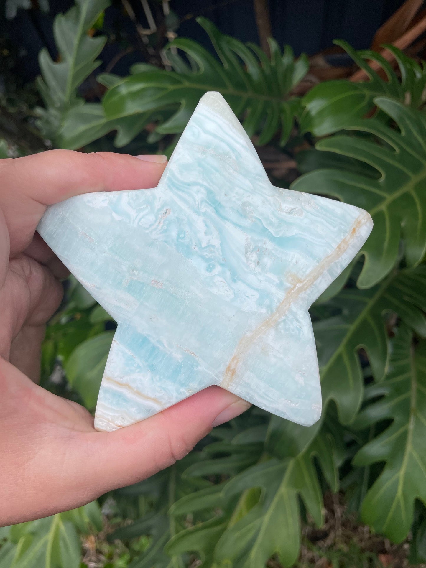 Caribbean Calcite Star